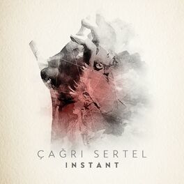 Album cover of Instant