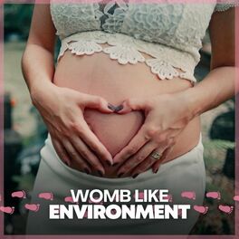 Album cover of Womb Like Environment