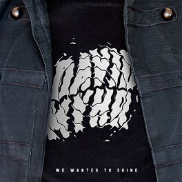 Album cover of We Wanted to Shine