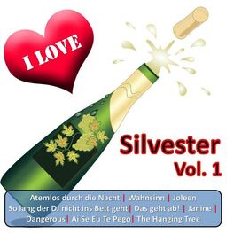 Album cover of I Love Silvester, Vol. 1