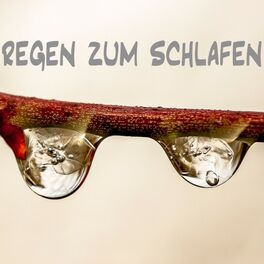 Album cover of Regen zum Schlafen