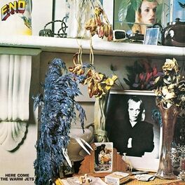 Album cover of Here Come The Warm Jets (2004 Digital Remaster)