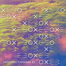 Album cover of Katermukke Playground XII