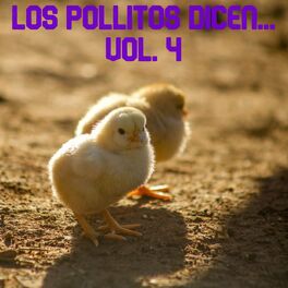 Album cover of Los Pollitos Dicen Vol. 4