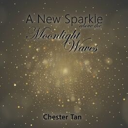 Album cover of A New Sparkle Above The Moonlight Waves