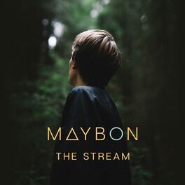 Album cover of The Stream