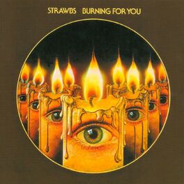 Album cover of Burning for You