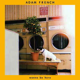 Album cover of Wanna Be Here