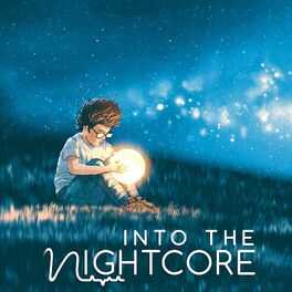 Album cover of Into The Nightcore, Vol. 12