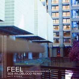 Album cover of Feel (Seb Wildblood Remix)