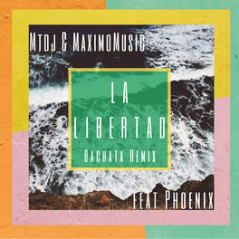 Album cover of La Libertad (Maximo Music bachata remix)