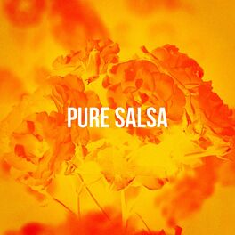 Album cover of Pure Salsa