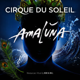 Album cover of Amaluna