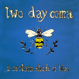 Album cover of A Certain Shade of Blue
