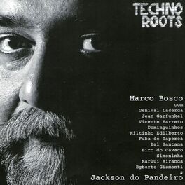 Album cover of Techno Roots