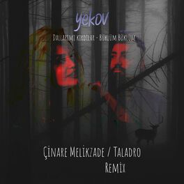 Album cover of Taladro & Çinare Dallarımı Kırdılar (Remix)