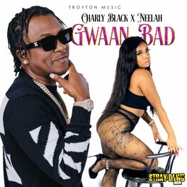 Album cover of Gwaan Bad