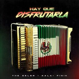 Album cover of Hay Que Disfrutarla