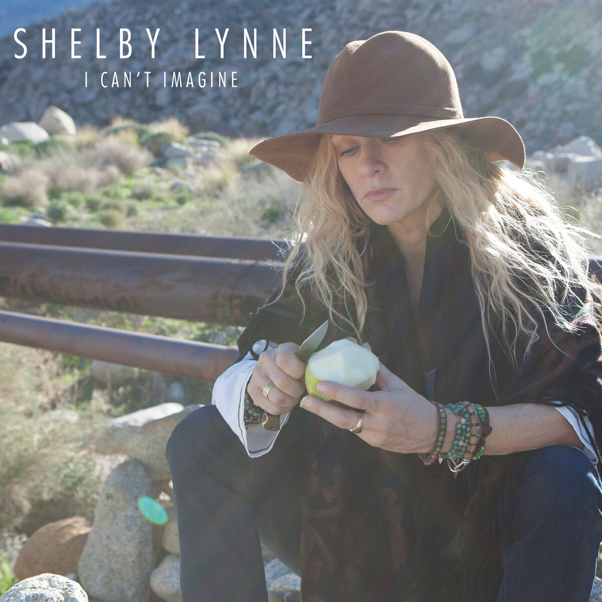 Shelby Lynne: albums