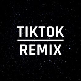 Album cover of TikTok Hits (Remix)