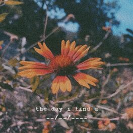 Album cover of the day i find u (feat. Laeland)