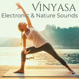 Album cover of Vinyasa: Electronic & Nature Sounds Best Vinyasa Yoga Workout Music