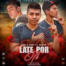 Album cover of Late Por Ti (feat. Mr. Don & Efren el Lirikal)