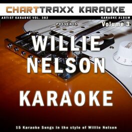 Album cover of Artist Karaoke, Vol. 382 : Sing the Songs of Willie Nelson, Vol. 3 (Karaoke In the Style of Willie Nelson)