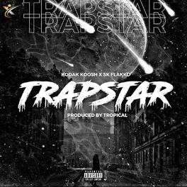 Album picture of Trapstar