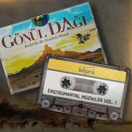 Album cover of Gönül Dağı Enstrümantal Müzikler Vol 1