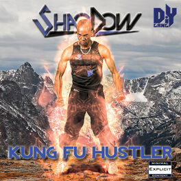 Album cover of Kung Fu Hustler