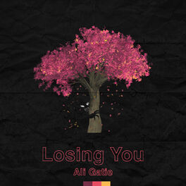 Album cover of Losing You