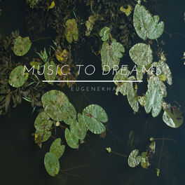 Album cover of Music to Dreams (Live)