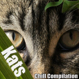 Album cover of Kats (Chill Compilation)