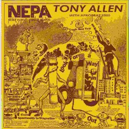 Album cover of Nepa (Never Expect Power Always)