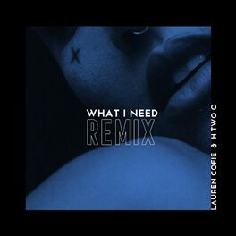 Album cover of What I Need Remix (Radio Edit)