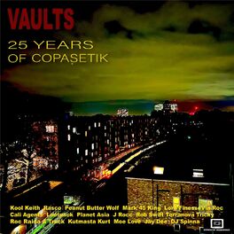 Album cover of Vaults - 25 Years Of Copasetik (Deluxe 25 Year Anniversary Compilation)