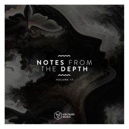 Album cover of Notes from the Depth, Vol. 13