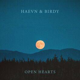 Album cover of Open Hearts