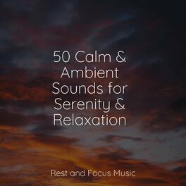 Album cover of 50 Calm & Ambient Sounds for Serenity & Relaxation