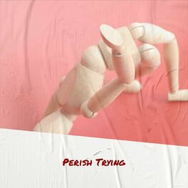 Album cover of Perish Trying