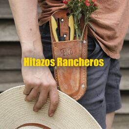 Album cover of Hitazos Rancheros