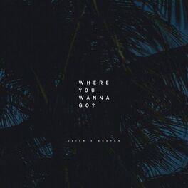 Album cover of Where You Wanna Go?