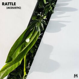 Album cover of Rattle!