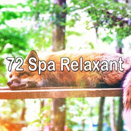 Album cover of 72 Spa Relaxant