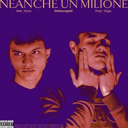 Album cover of Neanche un Milione (feat. HowL)