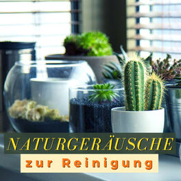 Album cover of Naturgeräusche zur Reinigung: Instrumentallieder, Damit Sie sich Ruhig und Gelassen der Hausarbeit Widmen Können