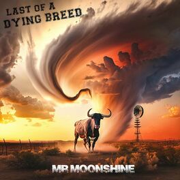 Album cover of Mr Moonshine