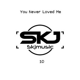 Album cover of You Never Loved Me
