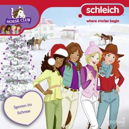 Album cover of Folge 22: Spuren im Schnee